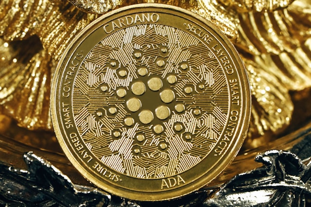 The Best 5 Cardano Wallets to Use in 2024